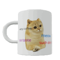 Catcoin Cat Meme Sticker - Catcoin Cat Cat Meme Stickers