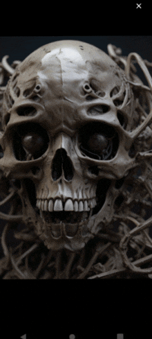 Death Approaches Skull GIF
