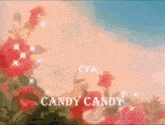 Candy Rosedal Candy Y Rosas GIF - Candy Rosedal Candy Y Rosas Candy Candy GIFs