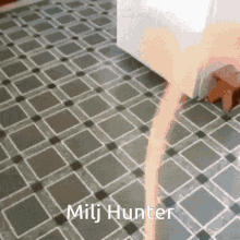 a picture of a tile floor with the name milj hunter on it