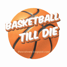 ball basket