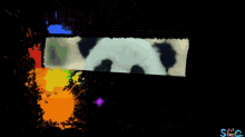 Instant Panda GIF - Instant Panda Instant Panda GIFs