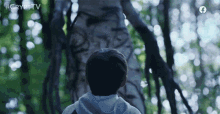 Looking Up Tree Monster GIF