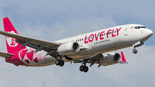 Love Fly GIF - Love Fly GIFs