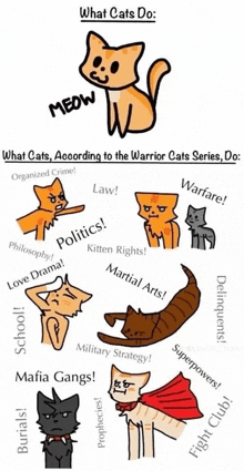 Warrior Cats GIF - Warrior Cats GIFs