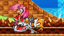 Tails Vs Amy GIF - Tails Vs Amy GIFs
