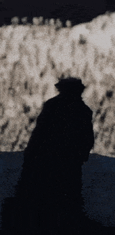 a silhouette of a man in a black coat and hat standing in front of a crowd .