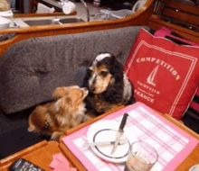 Bisous GIF - Bisous GIFs