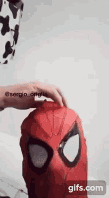 Sergio Origlia Spataman GIF - Sergio Origlia Spataman Spiderman GIFs