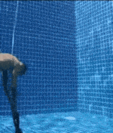 a couple of people are standing underwater in a swimming pool .