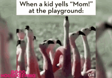 When A Kid Yells Mom What GIF - When A Kid Yells Mom What Too Many Kids GIFs