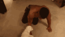Cute Puppy Adorable GIF - Cute Puppy Adorable Licking GIFs
