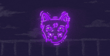 a neon sign of a cat with the number 49 on it 's face