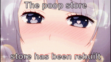 Poop Store Poop GIF - Poop Store Poop Store GIFs