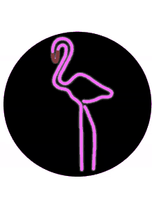motherpop flamingo