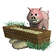 Swine Pig Sticker - Swine Pig Eating Stickers