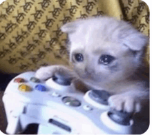 Sad Cat Holding Controller GIF - Sad Cat Holding Controller GIFs