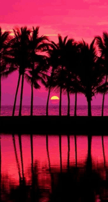 Beautiful Sunset GIF - Beautiful Sunset GIFs