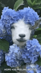 Goat Flowers GIF