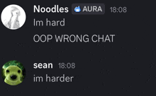 a screenshot of a chat between noodles aura and sean