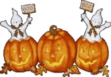 Happy Halloween Boo GIF