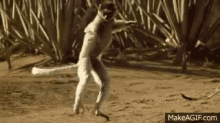 monkey dance jump hop