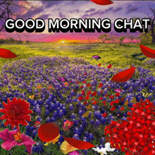 a field of flowers with the words good morning chat