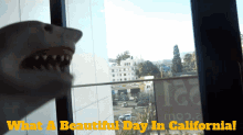 Shark Puppet What A Beautiful Day In California GIF - Shark Puppet What A Beautiful Day In California California GIFs