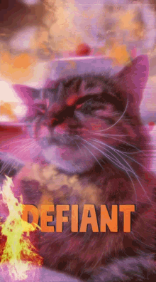 defiant earl defiant cat