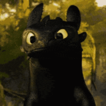 toothless from how to train your dragon is looking at the camera with his eyes wide open .