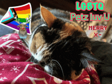 a calico cat laying on a blanket with a sticker of a reindeer and a rainbow flag on it