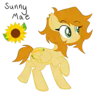 a drawing of a pony with the name sunny mae on the bottom