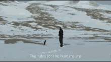 werner herzog penguin human instructions stand still