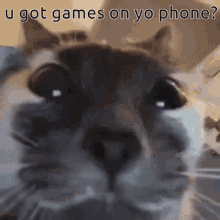 U Got Games On Yo Phone GIF - U Got Games On Yo Phone GIFs
