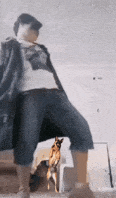 a german shepherd is jumping in the air next to a person