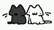 a black cat and a white dog are sitting next to each other on a white background .