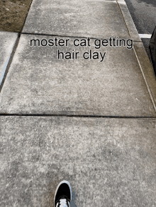 Mostercat Hair Clay GIF - Mostercat Hair Clay Hair GIFs