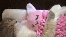 Kitten Cuddle Time GIF - Kitten Cat Cuddle GIFs