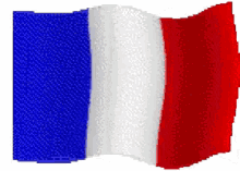 French Flag GIFs | Tenor