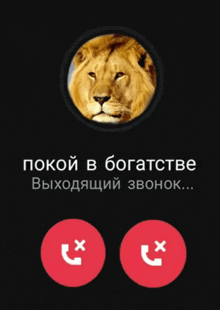 a phone screen with a picture of a lion and the words " покой в богатстве " on it