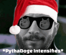 Pythadoge Intensifies Pythadoge GIF - Pythadoge Intensifies Pythadoge Tylermilgate GIFs