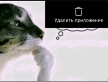 a picture of a cat with a thought bubble above it that says " удалить приложение "