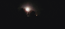 Phill In The Moon Treetop Moonshine GIF
