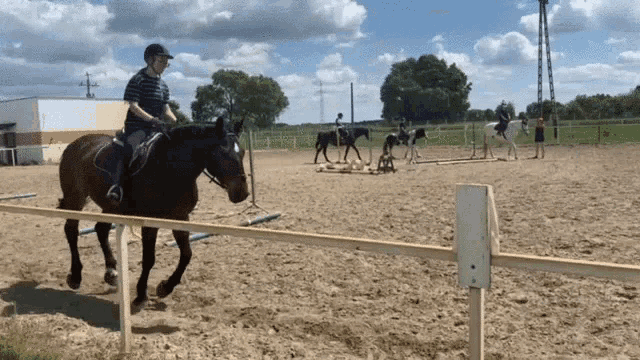 Broken horses