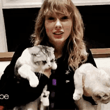 Taylor Swift Cats GIF - Taylor Swift Cats International Cat Day GIFs