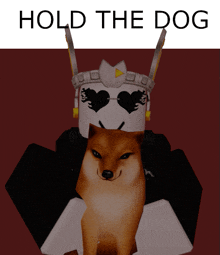 a picture of a dog with the words hold the dog on the top