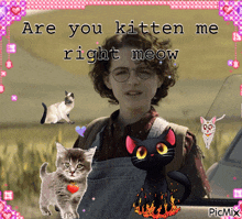 Phoebe Spengler Are You Kitten Me Right Meow Phoebe GIF - Phoebe Spengler Are You Kitten Me Right Meow Phoebe GIFs