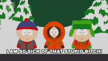 I Am So Sick Of That Stupid Bitch Kyle GIF - I Am So Sick Of That Stupid Bitch Kyle South Park GIFs