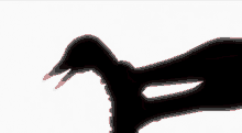 Fap Duck GIF - Fap Duck Choke GIFs
