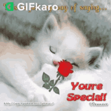 Youre Special Gifkaro GIF - Youre Special Gifkaro Wishes GIFs
